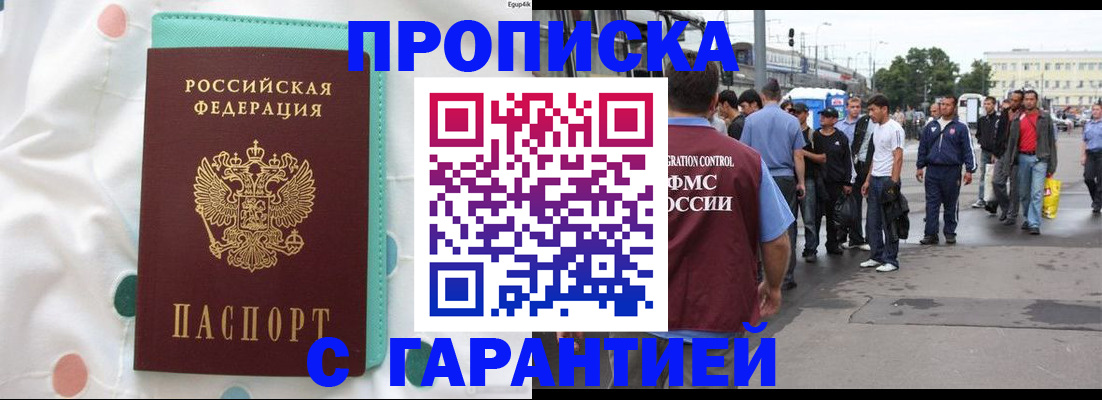 временная регистрация поиск в Новгородской области
